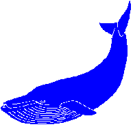Whale Diagram