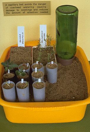 Containers for Sowing Seed