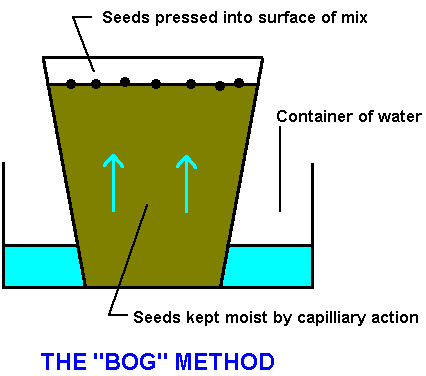 Bog Method diagram