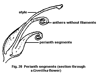 Fig.20
