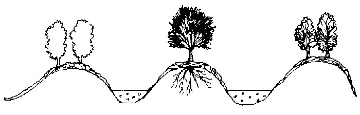 Mounding diagram