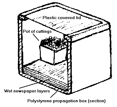 propagation box