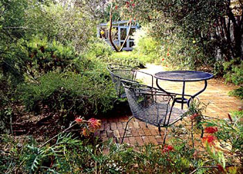 australian garden design on Anpsa Plant Guide  Australian Garden Design Study Group