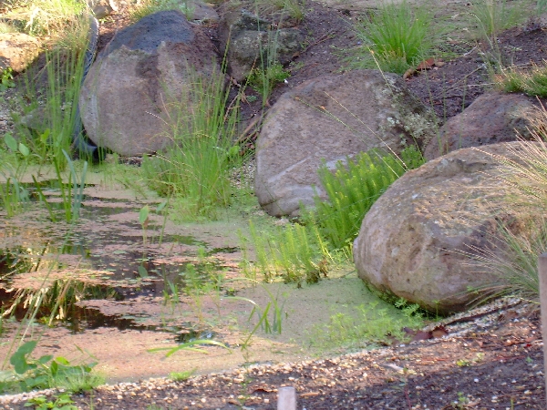 Boulders around pond