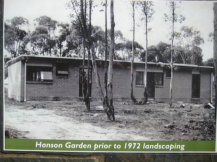 The Hanson garden before landscaping