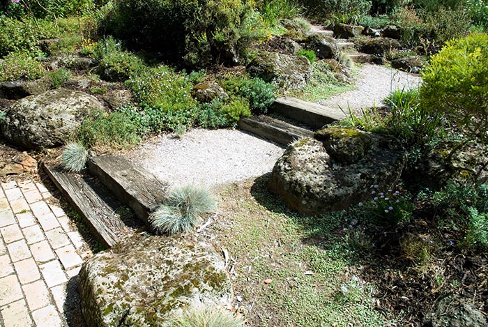 Paths and steps through the garden