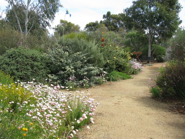 Jan Hall's Garden