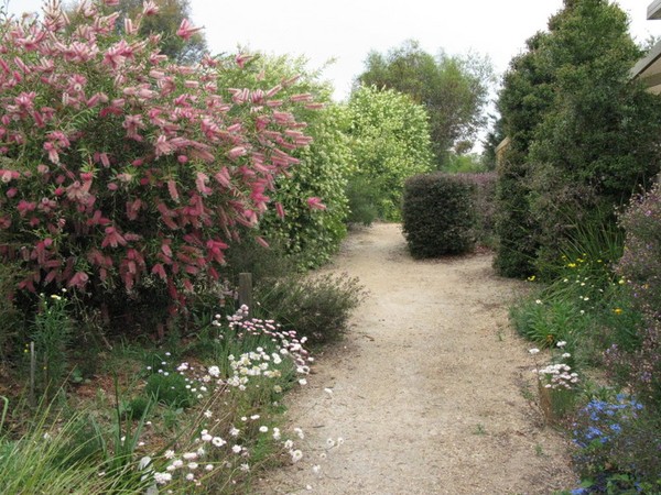 Jan Hall's Garden