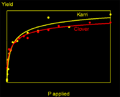 Response of Karri to Phosphorus