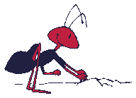 Animated ant