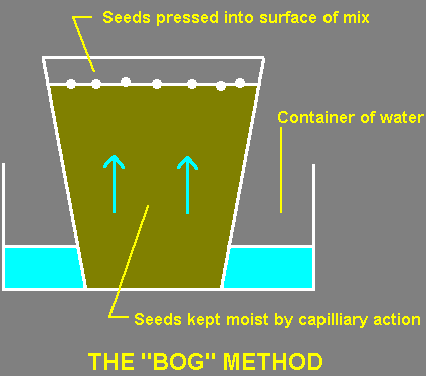 Bog Method Diagram