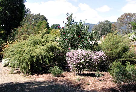 Jacob garden, Victoria