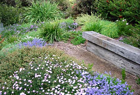 Larkin garden, Victoria