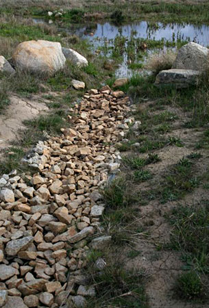 Fist-sized rocks filter run-off, while larger
boulders provide interest and habitat