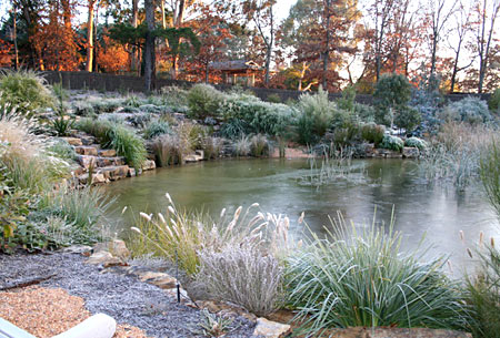 A Canberra garden pond in winter