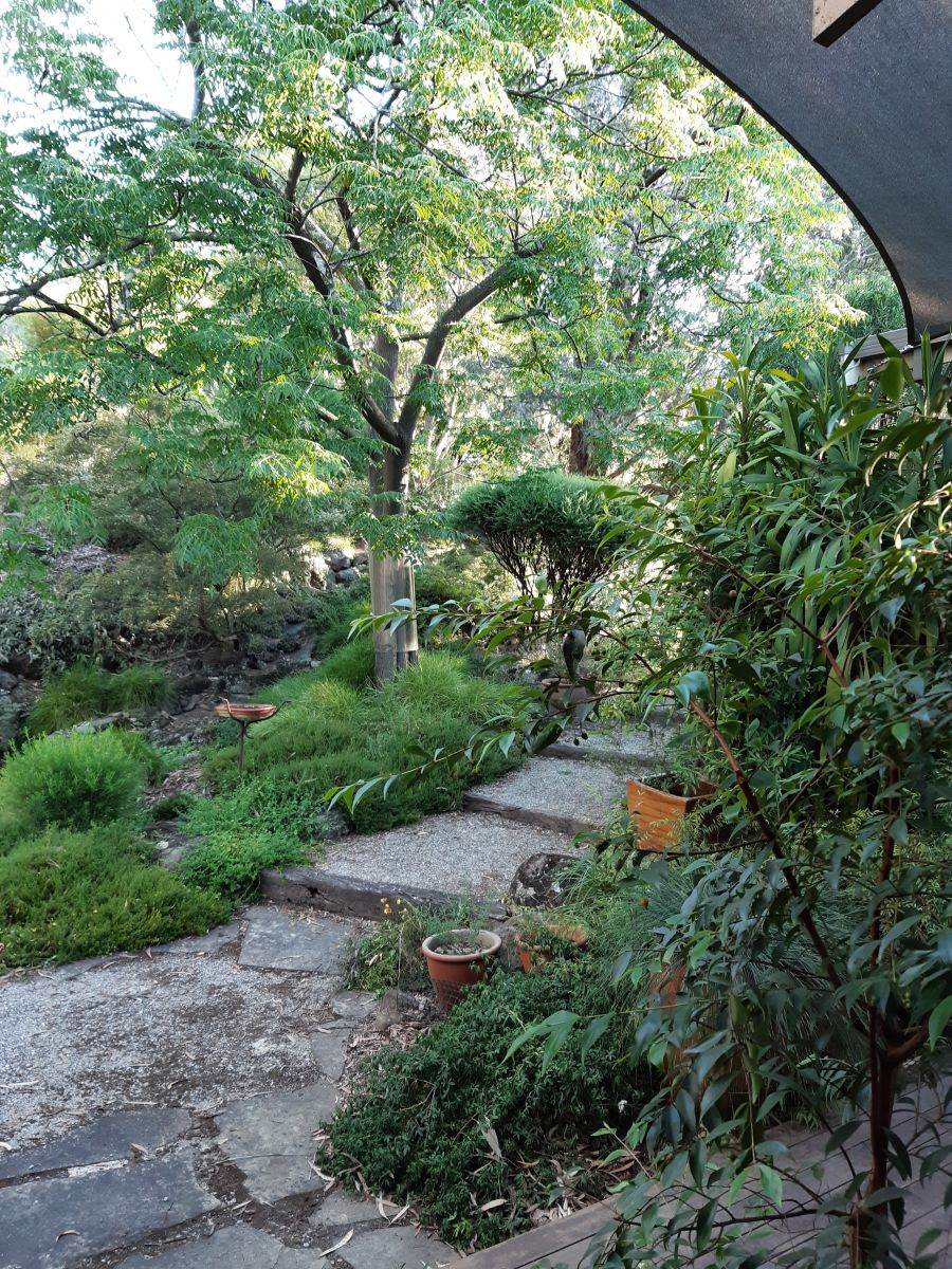 View of a garden path