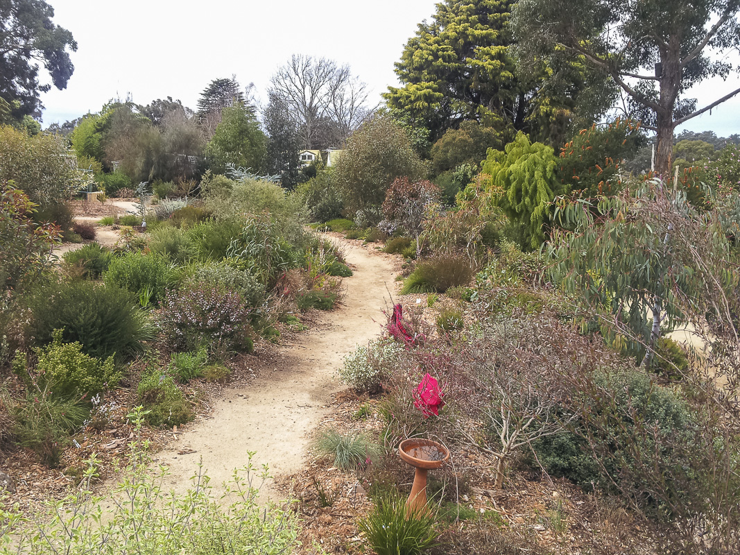 path through habitat garden