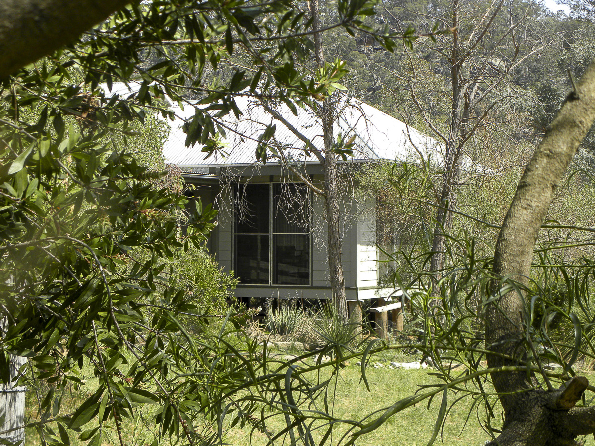 house seen through foliage