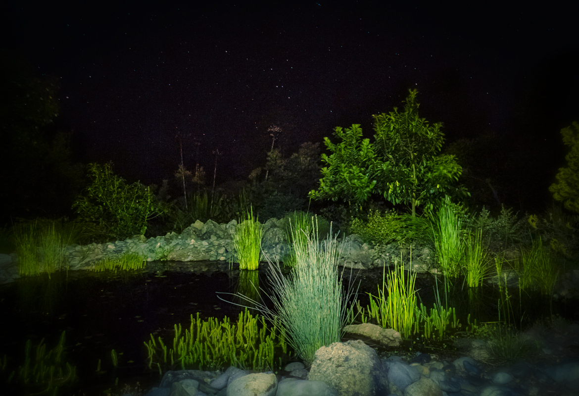 light on a garden pond