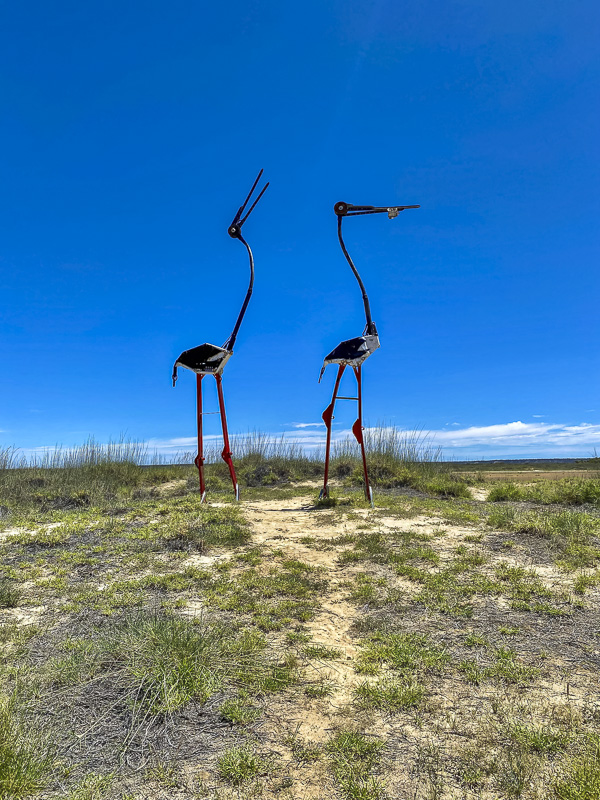 sculpture art as focal point in queensland outback