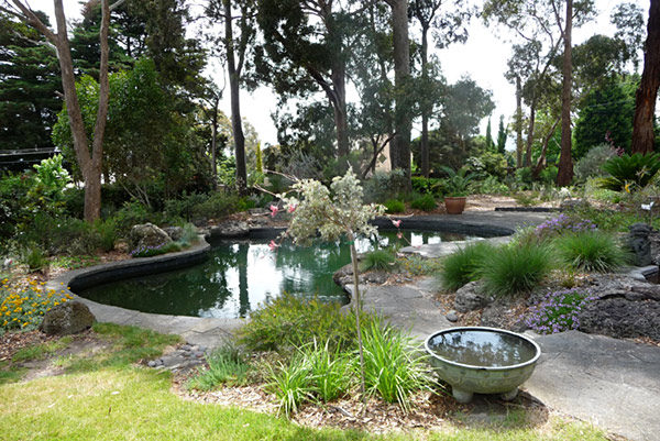 The swimming pool - looking from the front of the house
