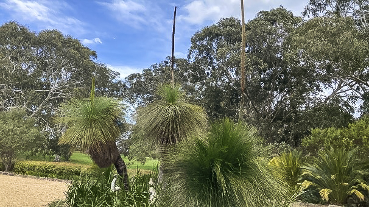 stunning NSW South Coast gardens
