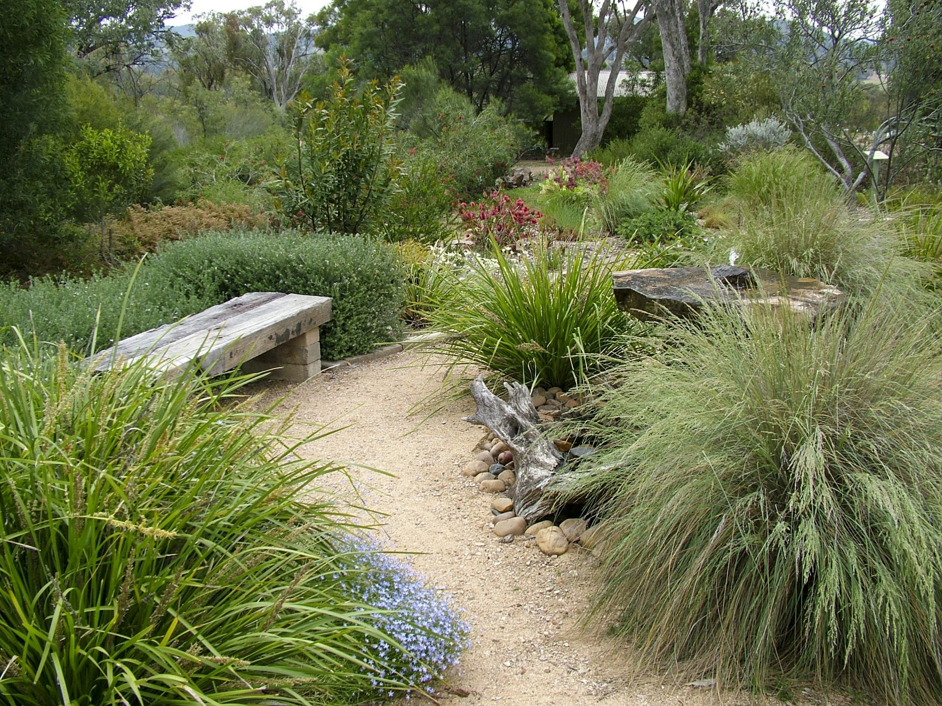 Waterwise garden, designed with nature, tips for beautiful design
