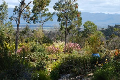 View across Verticordia Garden to Mount William Range