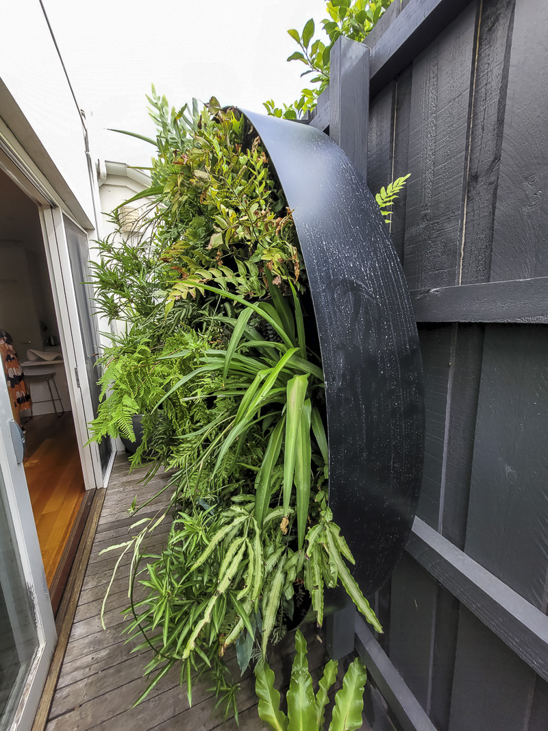 Wall garden in a container for a narrow space