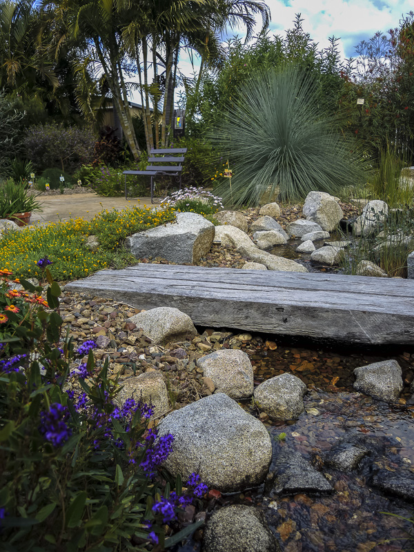 water feature as focal points in native gardens